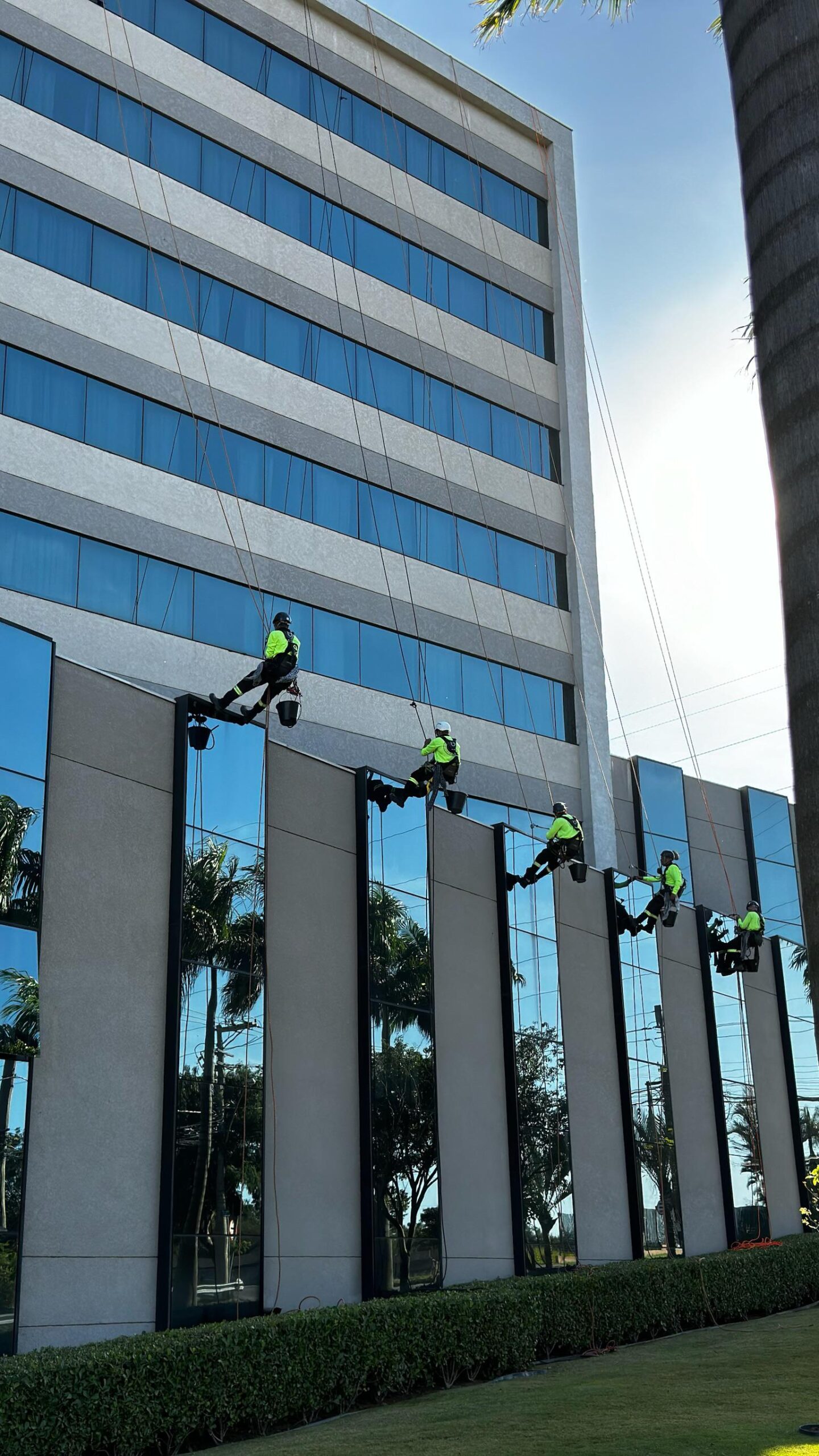 Equipe Ponto Vertical realizando trabalho em altura